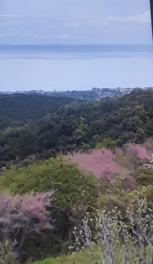 Πανοραμα Villa Aigani Eksteriør billede